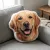 Custom Pet Pillows