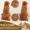CustMake 二合一宠物梳毛梳和去毛工具 - 适用于犬猫的底毛耙