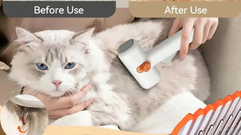 Les poils emmêlés représentent bien plus qu'une simple mauvaise journée capillaire pour votre animal de compagnie.