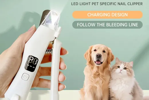 Comment couper les griffes foncées de son chien en toute sécurité à la maison (sans drame)