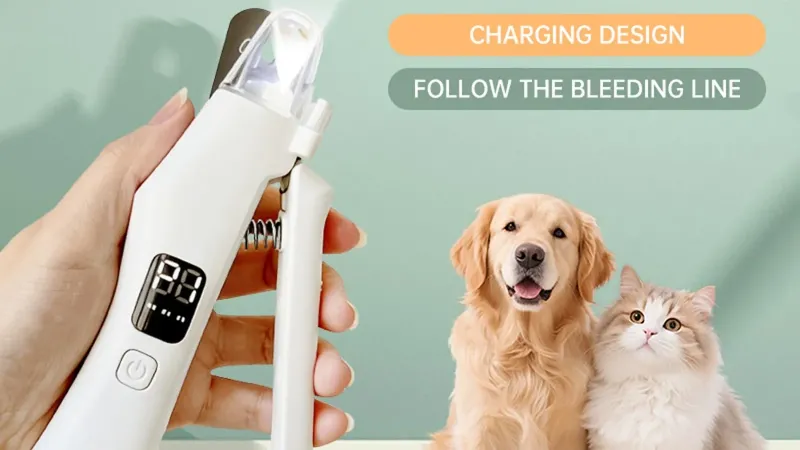 Как безопасно подстричь темные когти собаке в домашних условиях (без лишних проблем)