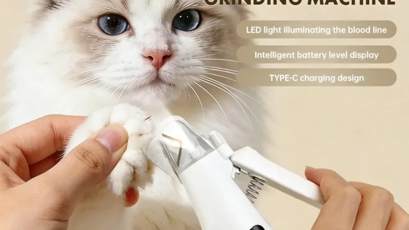 Pourquoi utilisons-nous encore des tondeuses à chiens à l'ancienne ? (On est en 2026, quand même !)