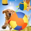 Balle gonflable géante apaisante pour chiens - Jouet gonflable géant résistant aux déchirures avec housse lavable et pompe