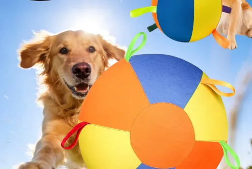 How to Choose the Perfect Size Herding Ball for Your Dog