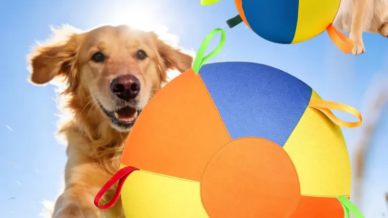 How to Choose the Perfect Size Herding Ball for Your Dog