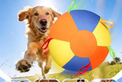 Say Goodbye to Ugly Dog Toys: Why Patterned Herding Balls are a Game Changer