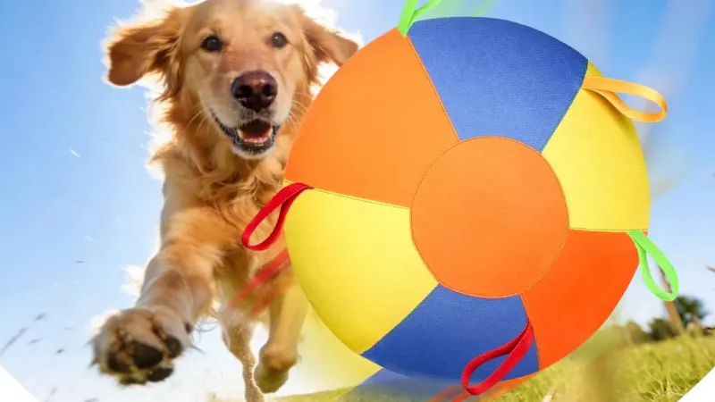 Say Goodbye to Ugly Dog Toys: Why Patterned Herding Balls are a Game Changer