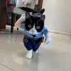 宠物立体搞笑服饰 罚款猫咪衣服 可爱猫狗夏季搞怪装拍摄道具