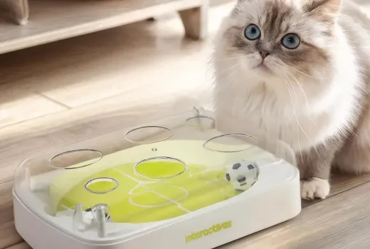 Démontage : Ce ballon pour chat est-il une arnaque ou de la technologie ?