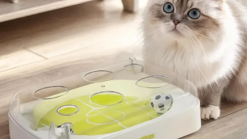 Démontage : Ce ballon pour chat est-il une arnaque ou de la technologie ?