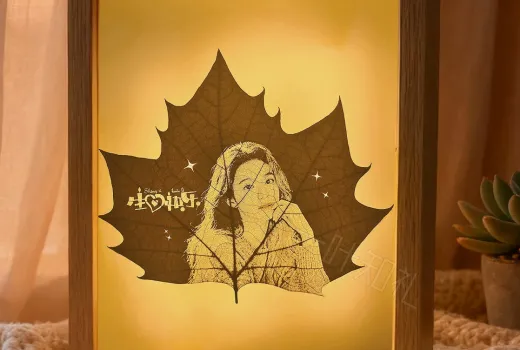 Pas une estampe?: L’incroyable art de la sculpture sur feuilles en 60 étapes