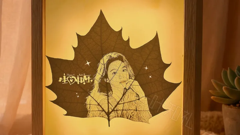 Pas une estampe?: L’incroyable art de la sculpture sur feuilles en 60 étapes