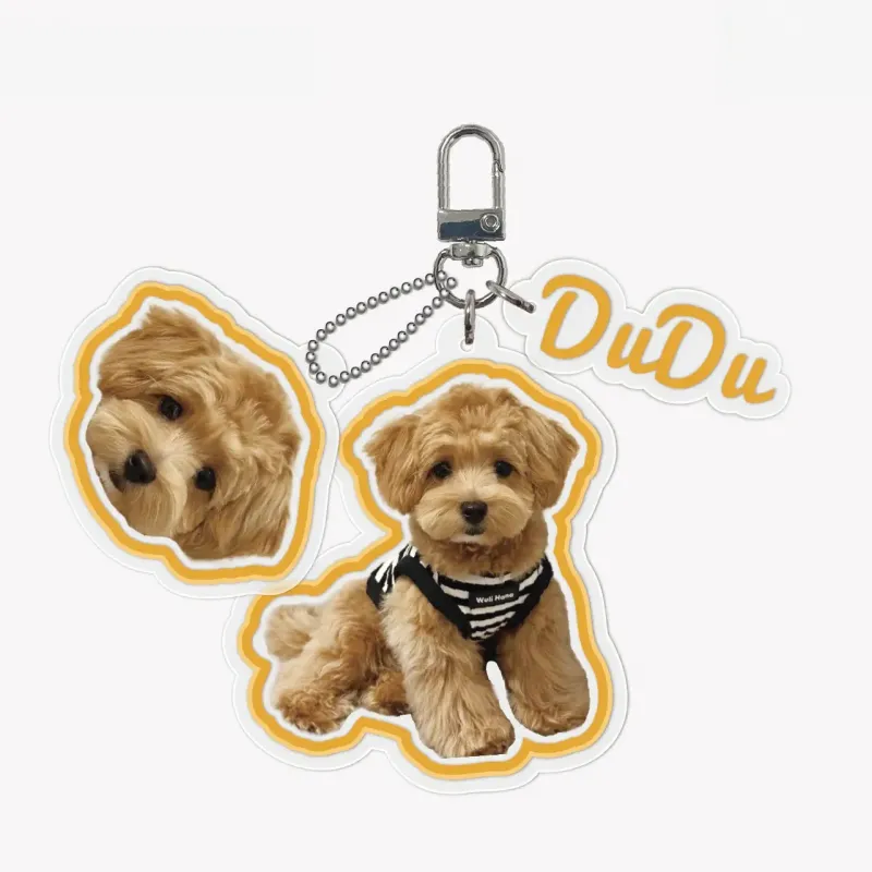 定制宠物照片亚克力钥匙扣 | 个性化狗狗猫咪肖像包包挂饰 | 可爱镂空礼物
