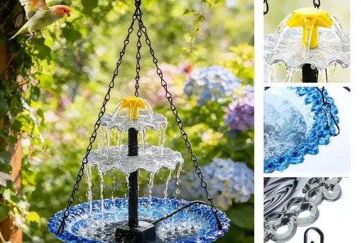 Le secret numéro un pour attirer de magnifiques oiseaux sauvages dans votre jardin