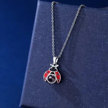 小众设计七星瓢虫吊坠纯银定制照片项链刻字轻奢锁骨链情人节礼物