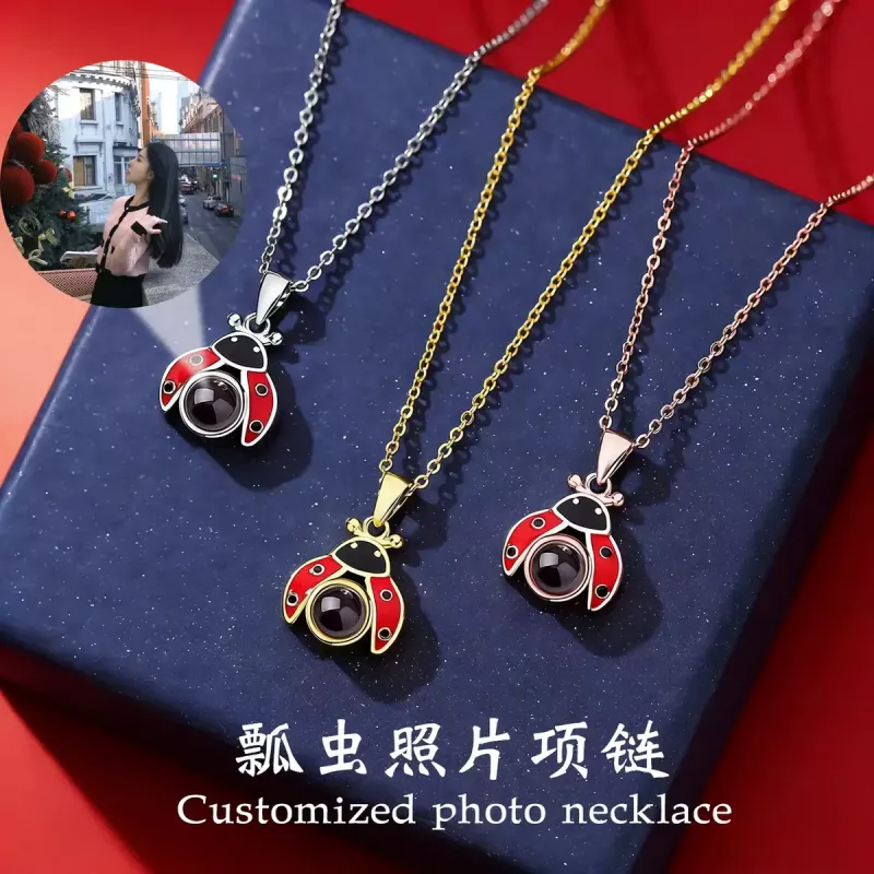 小众设计七星瓢虫吊坠纯银定制照片项链刻字轻奢锁骨链情人节礼物