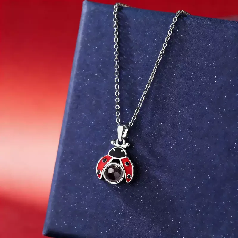 小众设计七星瓢虫吊坠纯银定制照片项链刻字轻奢锁骨链情人节礼物