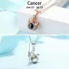 Custom 12 Constellation Photo Projection Necklace - S925 Sterling Silver Personalized Gift