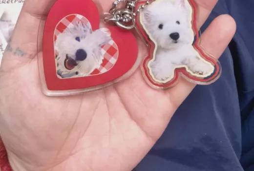 Toujours à vos c?tés : une belle fa?on d'honorer un animal de compagnie bien-aimé