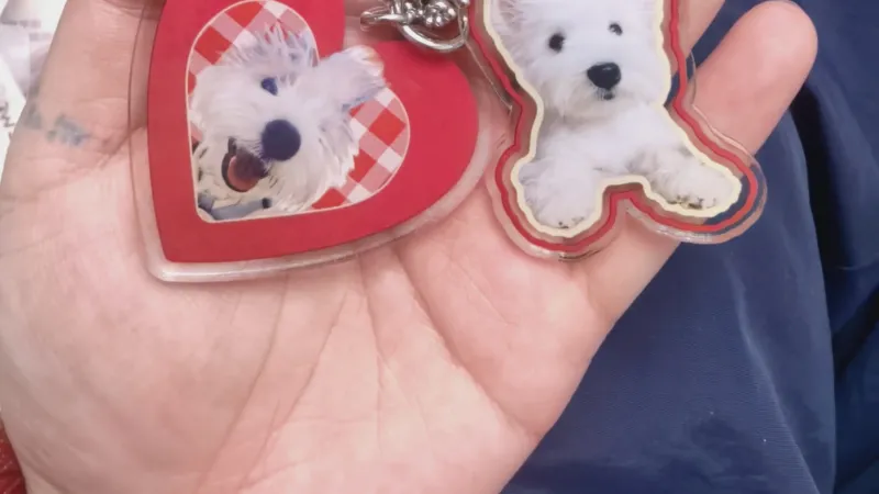 Toujours à vos c?tés : une belle fa?on d'honorer un animal de compagnie bien-aimé