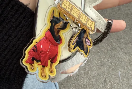 La tendance des porte-clés de sac en 2026?: Pourquoi votre sac à dos a besoin d’un mini-moi de votre animal de compagnie