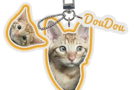 5 raisons pour lesquelles un porte-clés personnalisé pour animaux de compagnie est le cadeau idéal pour les mamans de chiens et de chats.