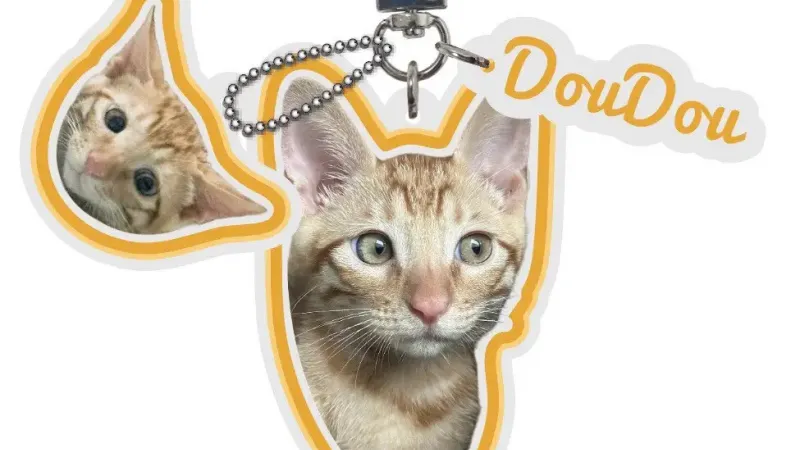 5 raisons pour lesquelles un porte-clés personnalisé pour animaux de compagnie est le cadeau idéal pour les mamans de chiens et de chats.